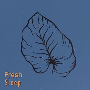 # 1 Album: Fresh Sleep - Driftwave