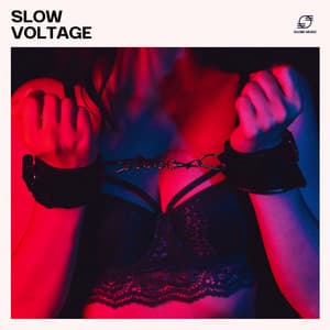 Slow Voltage - Kamasutra