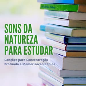 Sons da Natureza para Estudar: Canções para Concentração Profunda e Memorização Rápida - Beatriz Natureza Flores