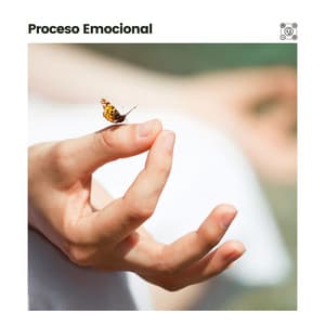 Proceso Emocional - Musica Relajante & Yoga
