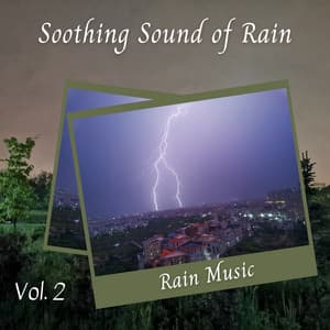 Rain Music: Soothing Sound of Rain Vol. 2 - Rain Palace
