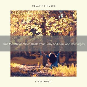 True Meditation Vibes Heals Your Body And Soul And Recharges - Perfect Meditation