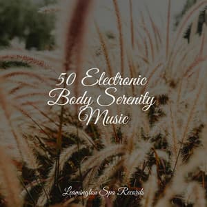 50 Electronic Body Serenity Music - Sonidos de la Naturaleza