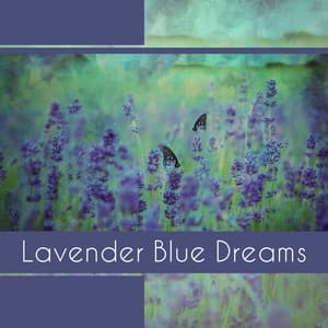 Lavender Blue Dreams - Sleep Cycles Music Collective