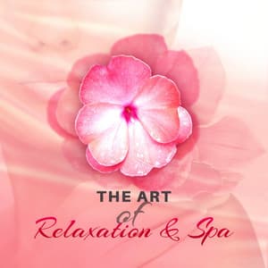 The Art of Relaxation & Spa: The Best Music for Massage, Stress Relief, Spa Treatments, Good Mood & Well Being - Spa Massage Solution