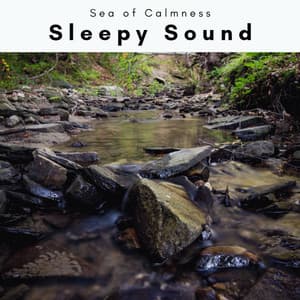 A Sleepy Sound - Sea of Calmness