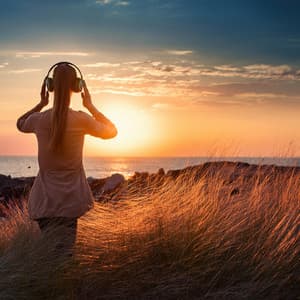 Relaxation and Serenity: Music for Quiet Moments - DigiClassic