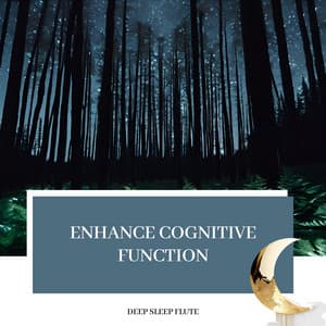 Enhance Cognitive Function - Deep Sleep Flute