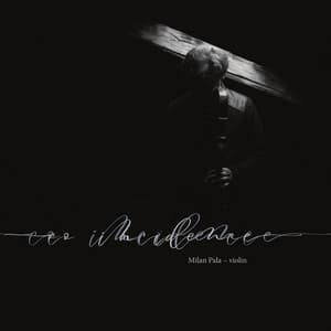 Co-incidence: Milan Pala – Violin - Milan Pala