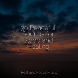 30 Peaceful Sounds for Sleep and Healing - Native American Flute