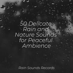 50 Delicate Rain and Nature Sounds for Peaceful Ambience - Sleepy Night Music