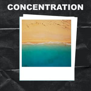 Concentration - Concentration Sounds
