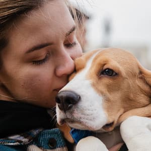 Pawsome Jazz Piano Mindscapes: Furry Pet Harmony Music - Classy Bossa Piano Jazz Playlist