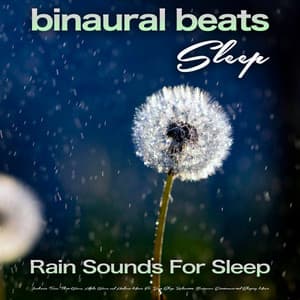 Binaural Beats Sleep: Rain Sounds For Sleep, Isochronic Tones, Theta Waves, Alpha Waves and Ambient Music For Deep Sleep, Relaxation, Brainwave Entrainment and Sleeping Music - Binaural Beats Sleep