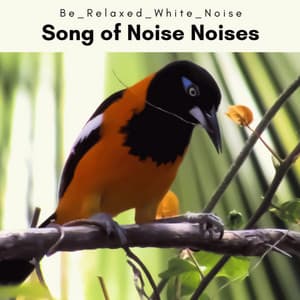 A Song of Noise Noises - Be Relaxed White Noise