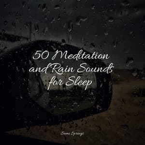 50 Meditation and Rain Sounds for Sleep - It's Raining