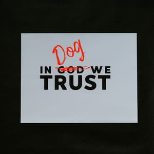 In Dog We Trust - Sounds Dogs Love