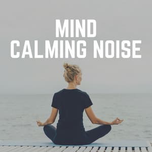 Mind Calming Noise - White Noise Radiance