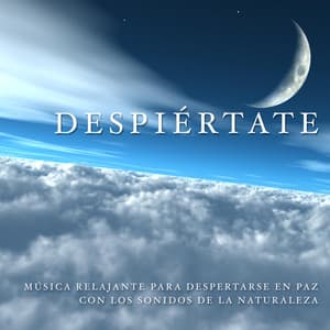 Despiértate: Música Relajante para Despertarse en Paz con los Sonidos de la Naturaleza - Relax for Life