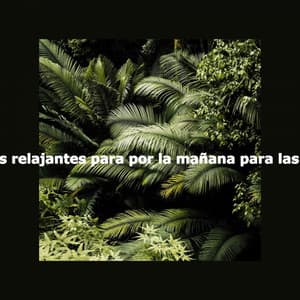 Melodías relajantes para por la mañana para las plantas - Audiophile Jazz Bar