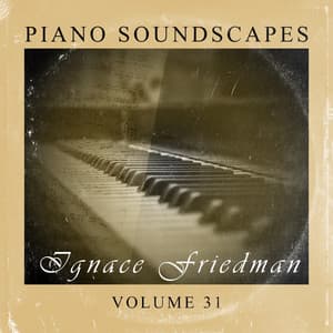 Piano Soundscapes, Vol. 31 - Ignaz Friedman
