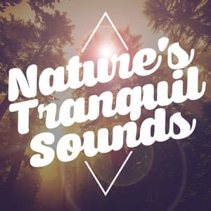 Nature's Tranquil Sounds - The Healing Sounds of Nature