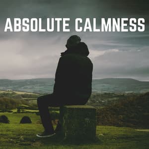 Absolute Calmness - Baby Sleep Music
