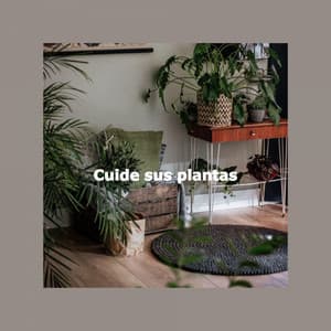 Cuide sus plantas - Jazz Lounge Bar Relaxing