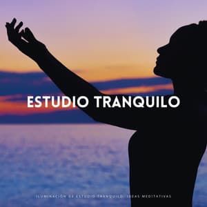 Iluminación De Estudio Tranquilo: Ideas Meditativas - Cafeteria Musica de lujo