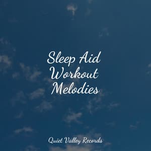 Sleep Aid Workout Melodies - Nature Sounds Nature Music