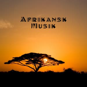 Afrikansk Musik - Mindfulness meditation världen