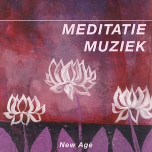 Meditatie Muziek en Ontspanning Muziek - Ontspanning