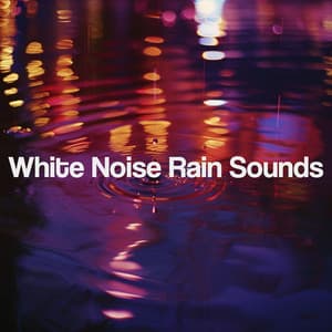 White Noise Rain Sounds - Meditation Rain Sounds