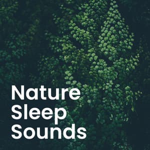 Nature's Serenity: Calming Sounds for Deep Sleep & Relaxation - Adam By Nature