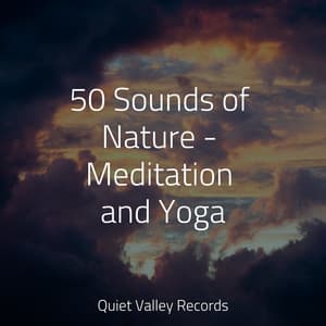 50 Sounds of Nature - Meditation and Yoga - Nature Sounds XLE Library