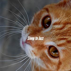 Sleep to Jazz - Alegre Musica de Piano