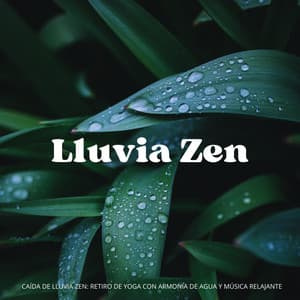 Caída De Lluvia Zen: Retiro De Yoga Con Armonía De Agua Y Música Relajante - Fabricantes de lluvia suave