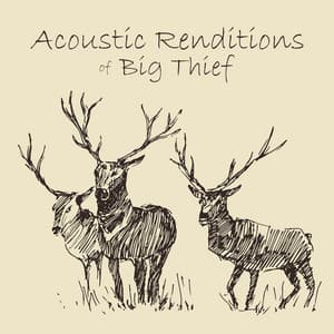 Acoustic Renditions of Big Thief - Guitar Tribute Players