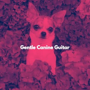 Gentle Canine Guitar - Soft Sunday Morning Music