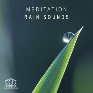 Meditation: Rain Sounds - Meditation Zen Master