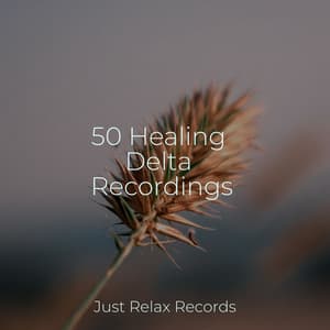 50 Healing Delta Recordings - Thunderstorm Sound Bank