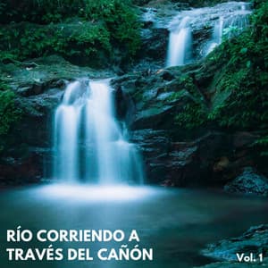 Río Corriendo A Través Del Cañón Vol. 1 - Elementos de la naturaleza