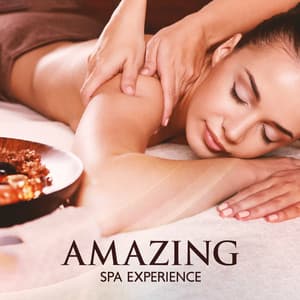Amazing SPA Experience: Serene Music Relaxation, Absolute Wellness Restoration, Spa Saloon at Home - Tranquility Spa Universe