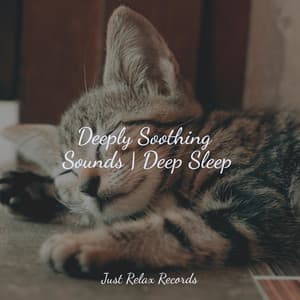 Deeply Soothing Sounds | Deep Sleep - Meditación