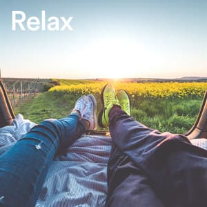 Relax - Insomnia Cure Maestro