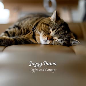 Jazzy Paws: Coffee and Catnaps - Easy Listening Soft Jazz