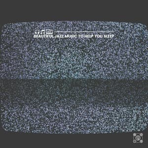 Beautiful Jazz Music to Help You Sleep - Vinyl Jazz Music Channel