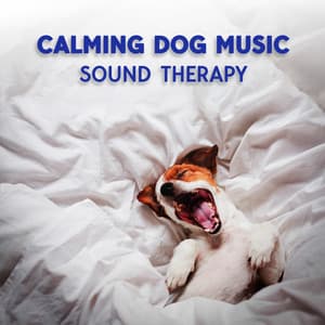 Calming Dog Music: Sound Therapy for Sleep and Anxiety, Effective Animal Relaxation Through a Pet's Ear, Music for House Pets - Pet Music Academy