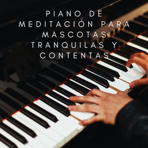 Refugio Pacífico Para Mascotas: Piano De Meditación Para Mascotas Tranquilas Y Contentas - Pianoramix