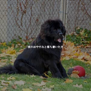 夜のおやすみと落ち着いた犬 - Soft Jazz Romance